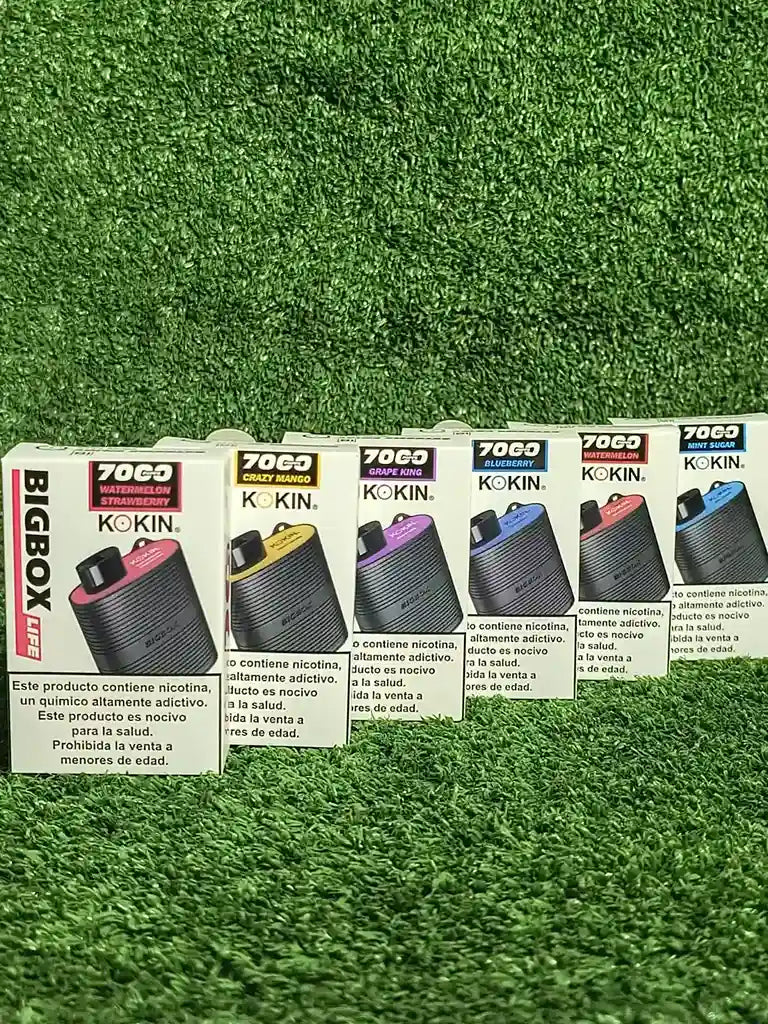 Kokin Vapers Recargables | Cigarrillo Electronico | Vaporizador Esencias | Big Boy Plus
